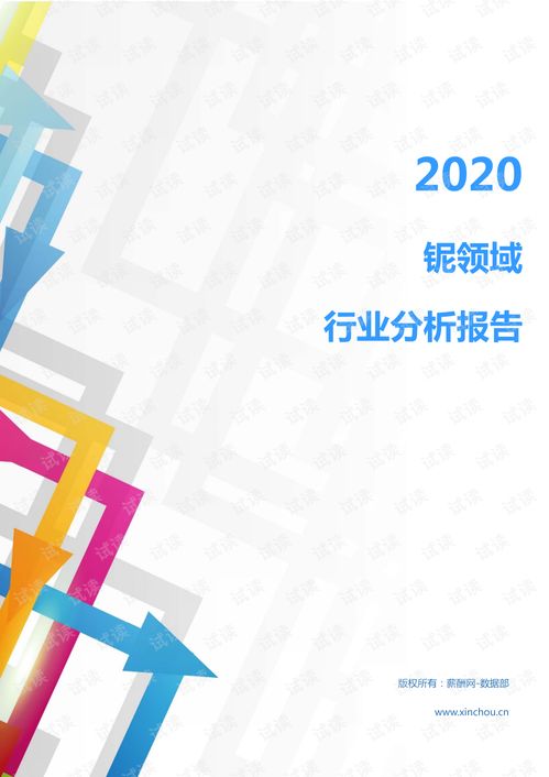 2020年冶金能源環保金屬礦產行業鈮領域行業分析報告 市場調查報告 .pdf