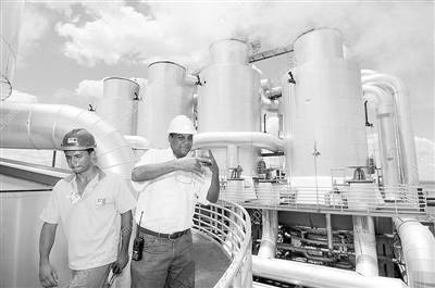 巴西優(yōu)先發(fā)展生物燃料 經(jīng)濟(jì)困境中的綠色突圍之路